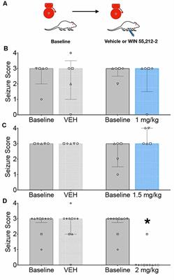 Divergent Effects of Systemic and Intracollicular CB Receptor Activation Against Forebrain and Hindbrain-Evoked Seizures in Rats